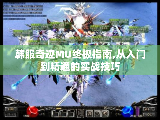韩服奇迹MU终极指南,从入门到精通的实战技巧 韩服奇迹MU终极指南,从入门到精通的实战技巧