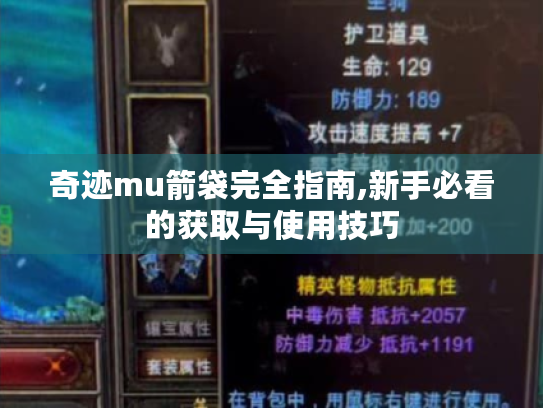 奇迹mu箭袋完全指南,新手必看的获取与使用技巧 奇迹mu箭袋完全指南,新手必看的获取与使用技巧
