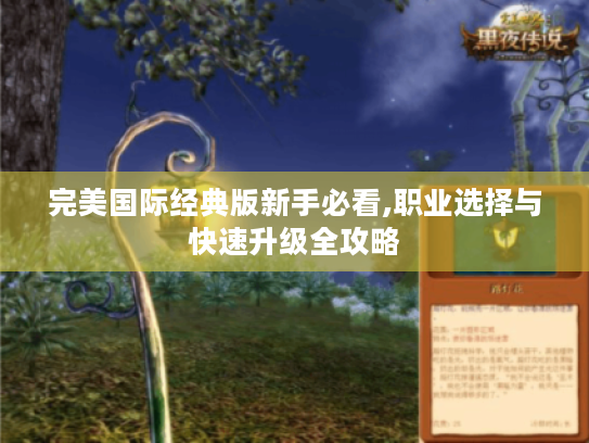 完美国际经典版新手必看,职业选择与快速升级全攻略 完美国际经典版新手必看,职业选择与快速升级全攻略