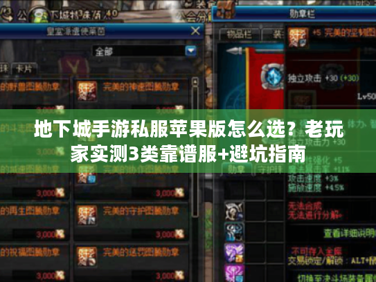 地下城手游私服苹果版怎么选？老玩家实测3类靠谱服+避坑指南