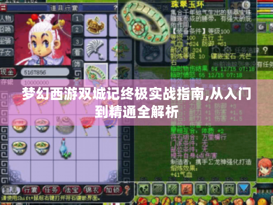 梦幻西游双城记终极实战指南,从入门到精通全解析