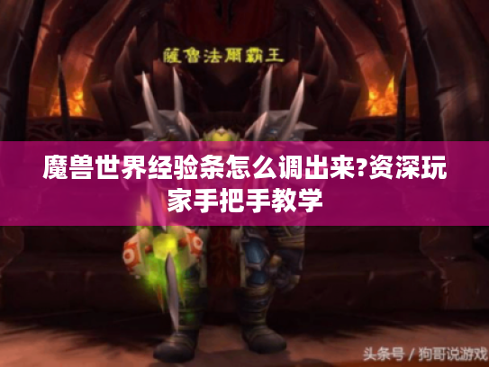 魔兽世界经验条怎么调出来?资深玩家手把手教学 魔兽世界经验条怎么调出来?资深玩家手把手教学