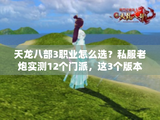 天龙八部3职业怎么选？私服老炮实测12个门派，这3个版本适配度最高