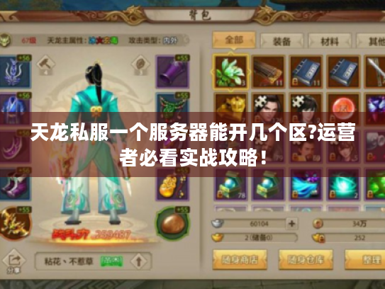 天龙私服一个服务器能开几个区?运营者必看实战攻略！