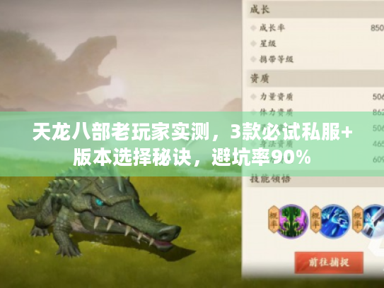 天龙八部老玩家实测,3款必试私服+版本选择秘诀,避坑率90% 天龙八部老玩家实测,3款必试私服+版本选择秘诀,避坑率90%