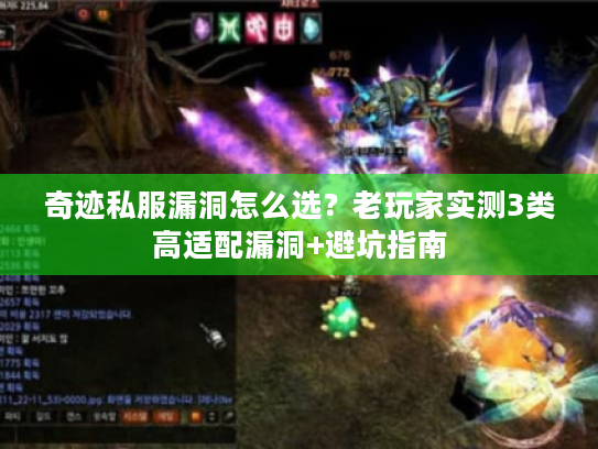 奇迹私服漏洞怎么选?老玩家实测3类高适配漏洞+避坑指南 奇迹私服漏洞怎么选?老玩家实测3类高适配漏洞+避坑指南