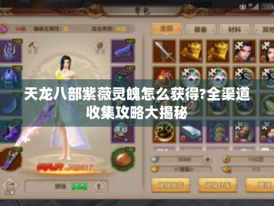 天龙八部紫薇灵魄怎么获得?全渠道收集攻略大揭秘 天龙八部紫薇灵魄怎么获得?全渠道收集攻略大揭秘