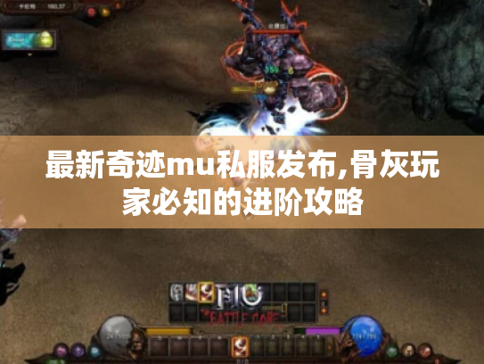 最新奇迹mu私服发布,骨灰玩家必知的进阶攻略 最新奇迹mu私服发布,骨灰玩家必知的进阶攻略