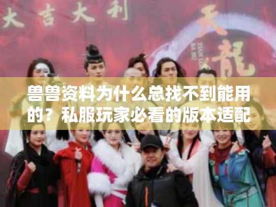 兽兽资料为什么总找不到能用的？私服玩家必看的版本适配攻略来了