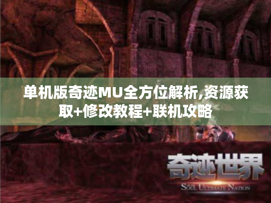 单机版奇迹MU全方位解析,资源获取+修改教程+联机攻略 单机版奇迹MU全方位解析,资源获取+修改教程+联机攻略