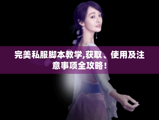 完美私服脚本教学,获取、使用及注意事项全攻略! 完美私服脚本教学,获取、使用及注意事项全攻略!