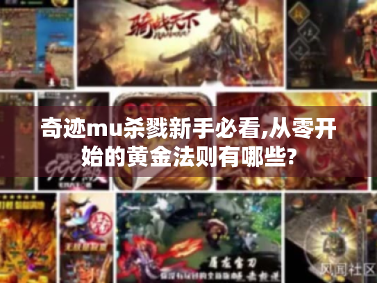 奇迹mu杀戮新手必看,从零开始的黄金法则有哪些? 奇迹mu杀戮新手必看,从零开始的黄金法则有哪些?