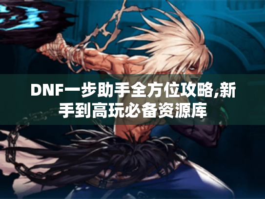 DNF一步助手全方位攻略,新手到高玩必备资源库 DNF一步助手全方位攻略,新手到高玩必备资源库