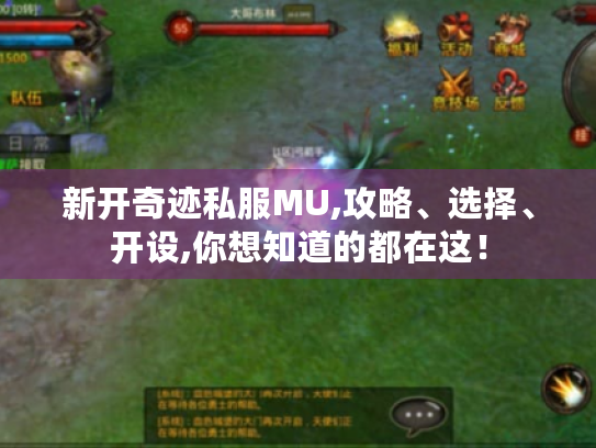 新开奇迹私服MU,攻略、选择、开设,你想知道的都在这！