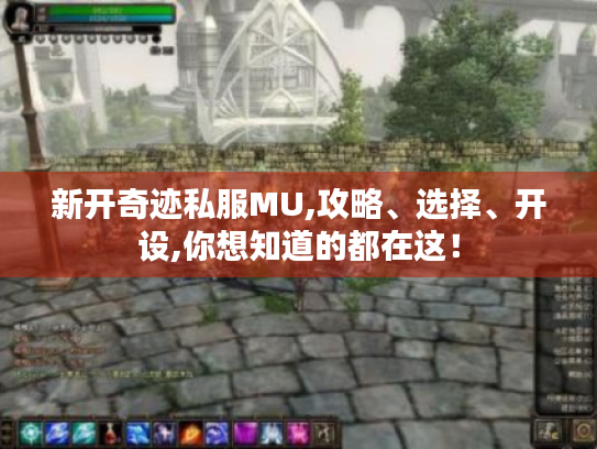 新开奇迹私服MU,攻略、选择、开设,你想知道的都在这！