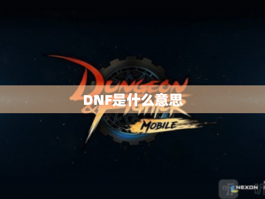 DNF是什么意思 DNF是什么意思