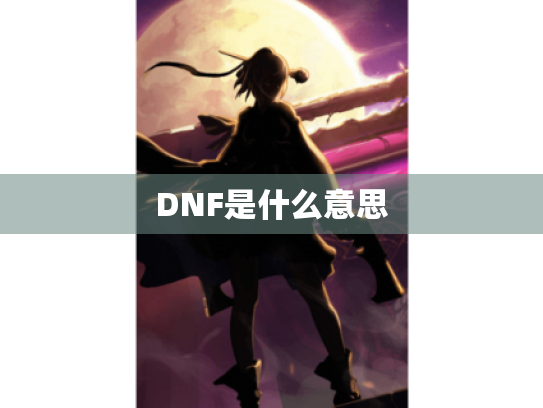 DNF是什么意思 DNF是什么意思