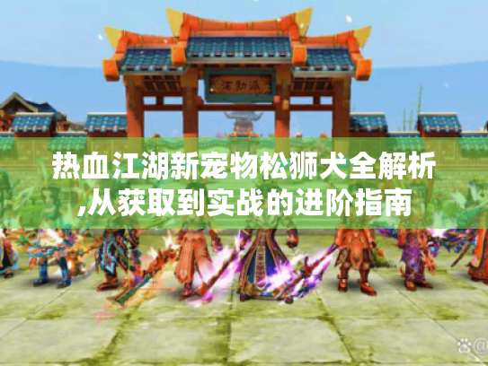 热血江湖新宠物松狮犬全解析,从获取到实战的进阶指南