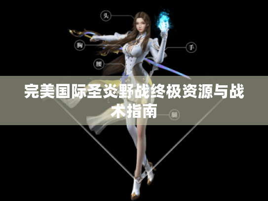 完美国际圣炎野战终极资源与战术指南 完美国际圣炎野战终极资源与战术指南