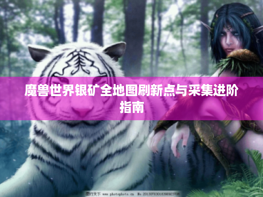 魔兽世界银矿全地图刷新点与采集进阶指南 魔兽世界银矿全地图刷新点与采集进阶指南