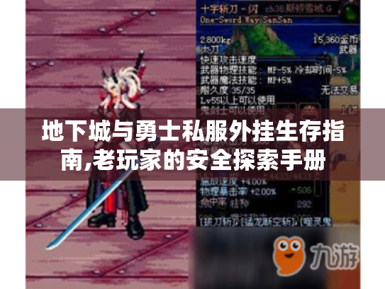 地下城与勇士私服外挂生存指南,老玩家的安全探索手册 地下城与勇士私服外挂生存指南,老玩家的安全探索手册
