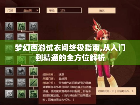 梦幻西游试衣间终极指南,从入门到精通的全方位解析 梦幻西游试衣间终极指南,从入门到精通的全方位解析