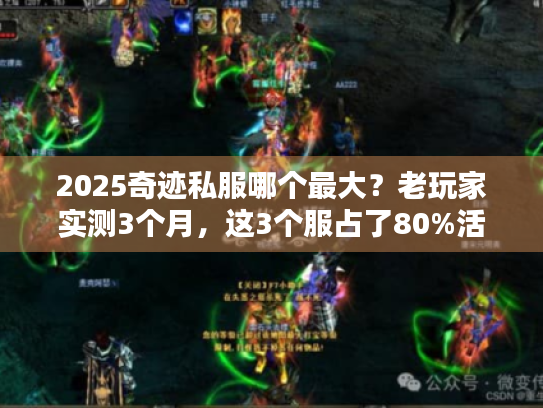 2025奇迹私服哪个最大？老玩家实测3个月，这3个服占了80%活跃用户