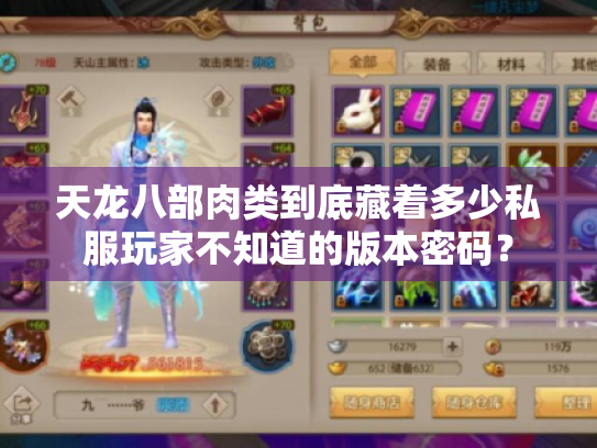 天龙八部肉类到底藏着多少私服玩家不知道的版本密码？