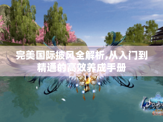 完美国际披风全解析,从入门到精通的高效养成手册