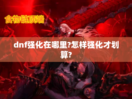 dnf强化在哪里?怎样强化才划算?