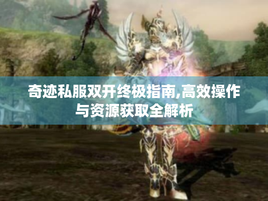 奇迹私服双开终极指南,高效操作与资源获取全解析 奇迹私服双开终极指南,高效操作与资源获取全解析