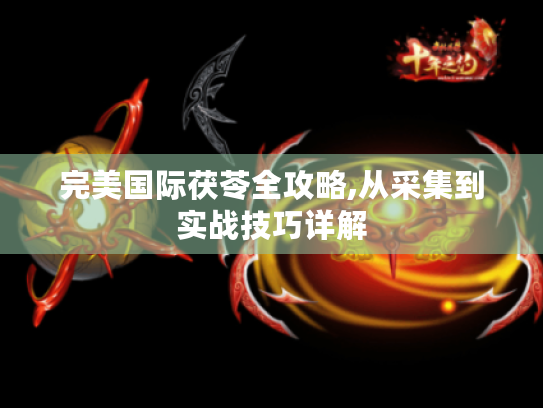 完美国际茯苓全攻略,从采集到实战技巧详解
