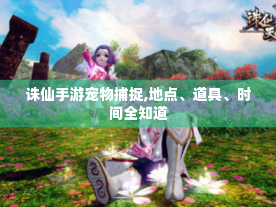 诛仙手游宠物捕捉,地点、道具、时间全知道