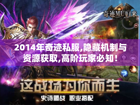 2014年奇迹私服,隐藏机制与资源获取,高阶玩家必知! 2014年奇迹私服,隐藏机制与资源获取,高阶玩家必知!