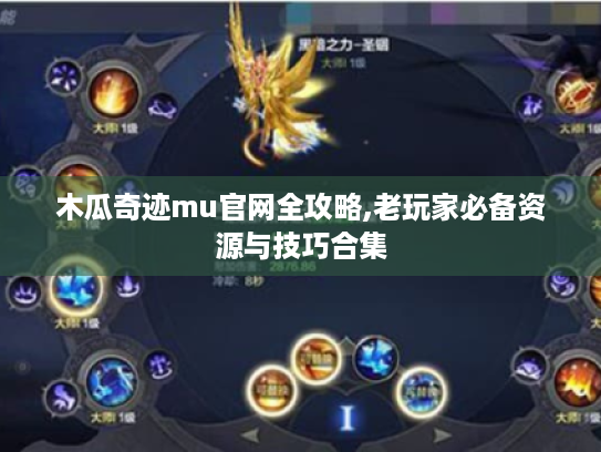 木瓜奇迹mu官网全攻略,老玩家必备资源与技巧合集