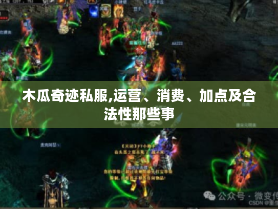 木瓜奇迹私服,运营、消费、加点及合法性那些事 木瓜奇迹私服,运营、消费、加点及合法性那些事