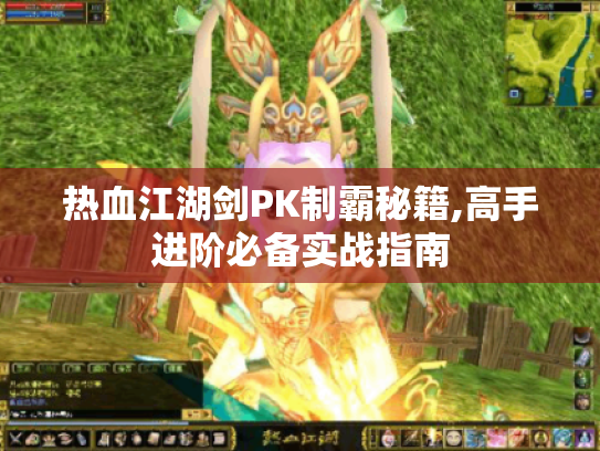 热血江湖剑PK制霸秘籍,高手进阶必备实战指南