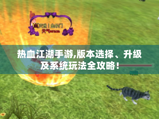 热血江湖手游,版本选择、升级及系统玩法全攻略! 热血江湖手游,版本选择、升级及系统玩法全攻略!
