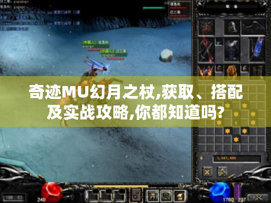 奇迹MU幻月之杖,获取、搭配及实战攻略,你都知道吗? 奇迹MU幻月之杖,获取、搭配及实战攻略,你都知道吗?