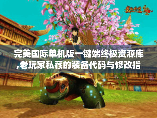 完美国际单机版一键端终极资源库,老玩家私藏的装备代码与修改指南 完美国际单机版一键端终极资源库,老玩家私藏的装备代码与修改指南