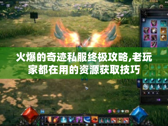 火爆的奇迹私服终极攻略,老玩家都在用的资源获取技巧 火爆的奇迹私服终极攻略,老玩家都在用的资源获取技巧