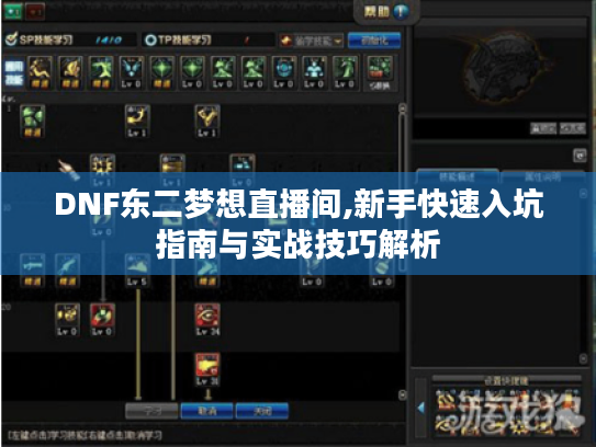 DNF东二梦想直播间,新手快速入坑指南与实战技巧解析 DNF东二梦想直播间,新手快速入坑指南与实战技巧解析