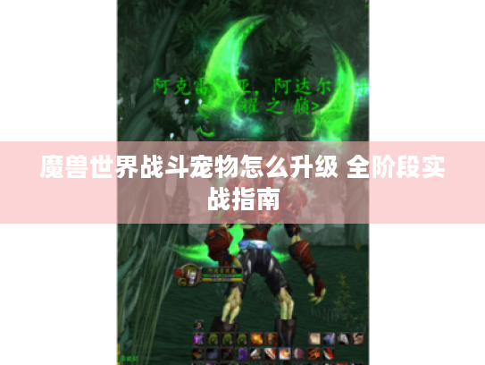 魔兽世界战斗宠物怎么升级 全阶段实战指南 魔兽世界战斗宠物怎么升级 全阶段实战指南