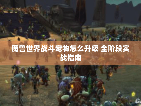 魔兽世界战斗宠物怎么升级 全阶段实战指南 魔兽世界战斗宠物怎么升级 全阶段实战指南