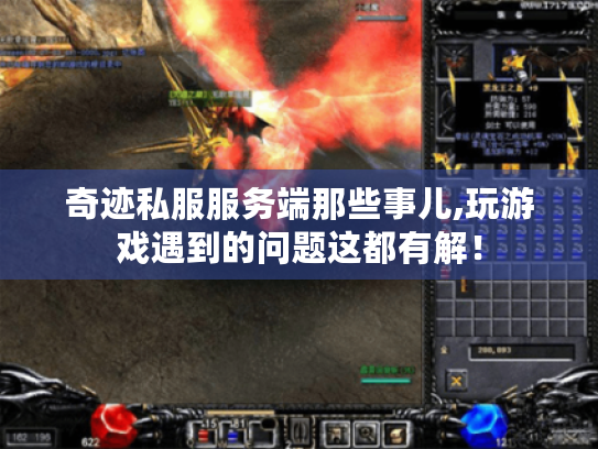 奇迹私服服务端那些事儿,玩游戏遇到的问题这都有解! 奇迹私服服务端那些事儿,玩游戏遇到的问题这都有解!