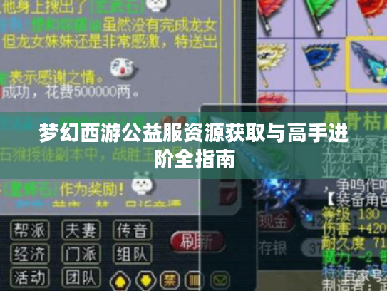 梦幻西游公益服资源获取与高手进阶全指南 梦幻西游公益服资源获取与高手进阶全指南