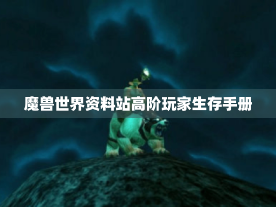 魔兽世界资料站高阶玩家生存手册 魔兽世界资料站高阶玩家生存手册