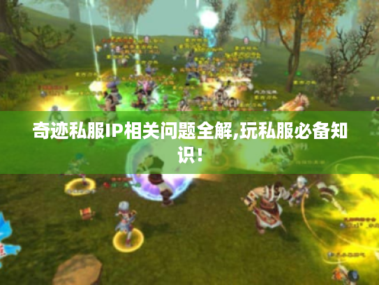 奇迹私服IP相关问题全解,玩私服必备知识! 奇迹私服IP相关问题全解,玩私服必备知识!