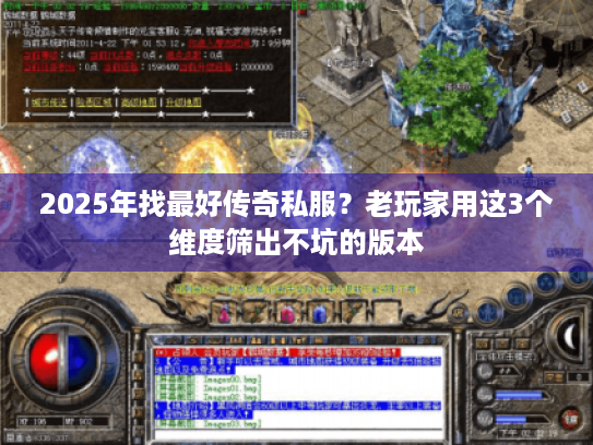 2025年找最好传奇私服?老玩家用这3个维度筛出不坑的版本 2025年找最好传奇私服?老玩家用这3个维度筛出不坑的版本