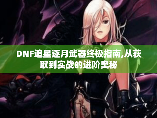 DNF追星逐月武器终极指南,从获取到实战的进阶奥秘